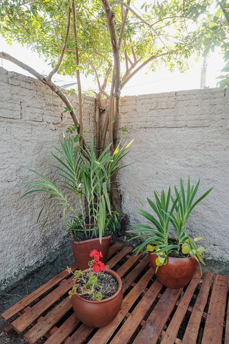 Mini Refúgio Jurerê – Self-Check-in & Pet OK